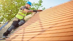 Best Roof Moss and Algae Removal  in French Valley, CA