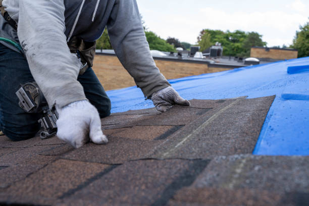 Roof Coating Services in French Valley, CA